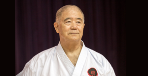 Martial arts trainer