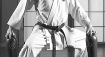 kung-fu