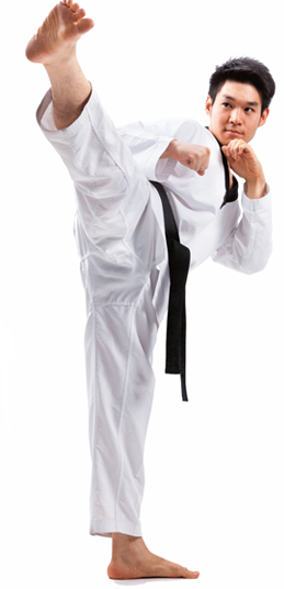 martial arts experts